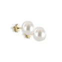 GOLD PEARL 10 MM EARRINGS