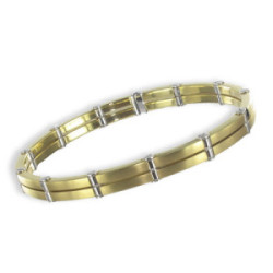 PULSERA RIGIDA ORO