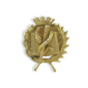 MEDICINE YELLOW GOLD LAPEL BUTTON