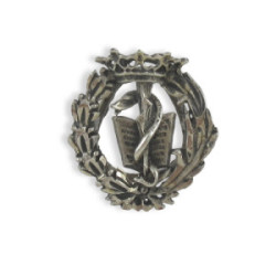 BOTON SOLAPA PLATA MEDICINA